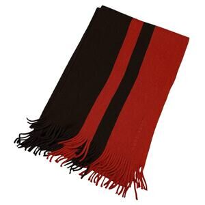 BOSS Hugo Boss Virgin Wool Scarf Fringe Color Block Stripes Orange Brown Autumn